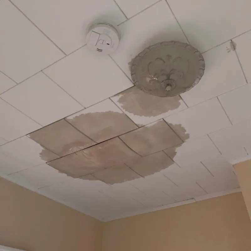 Ceiling Water Damage Repair in Choctaw County, OK