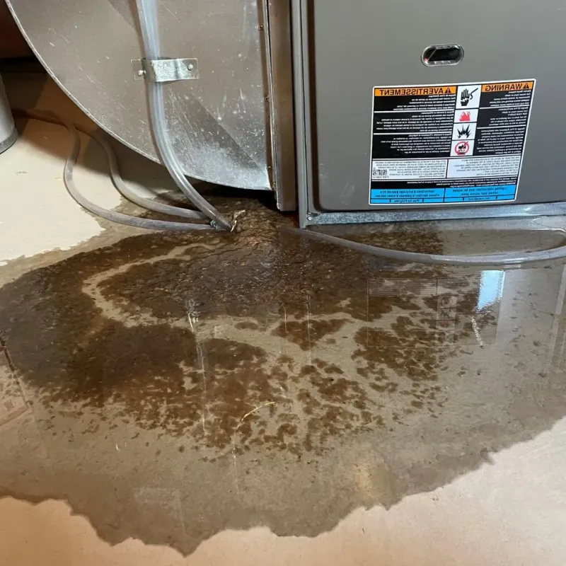 Pipe Burst and Leak Restoration in Choctaw County, OK